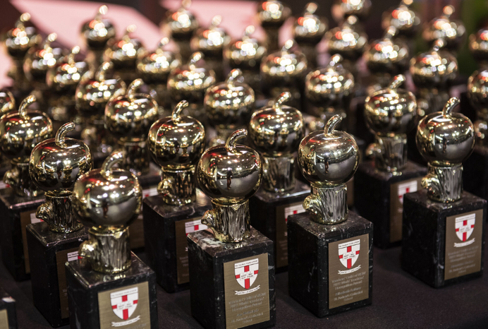 Teachers guild feature