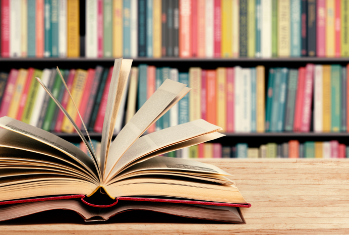 Primary apporach literacy feature